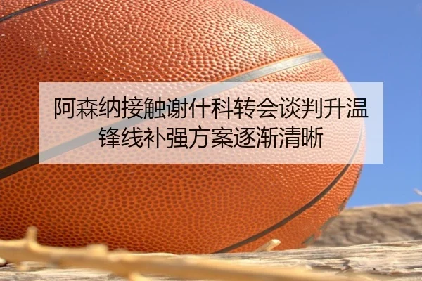 阿森纳接触谢什科转会谈判升温 锋线补强方案逐渐清晰